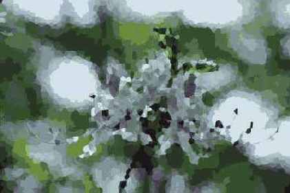 ������� ������� Pixelate