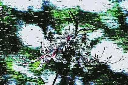 ������� ������� Pixelate