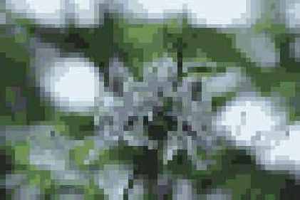 ������� ������� Pixelate