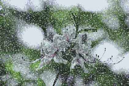 ������� ������� Pixelate