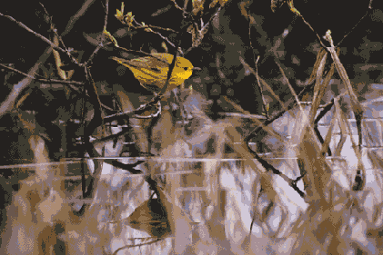 ������� �����