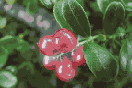 ����������� Dodge � Burn