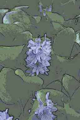 ������������� ����������� Art History Brush