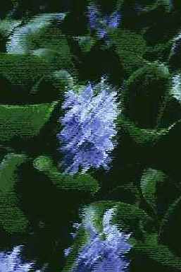 ������������� ����������� Art History Brush