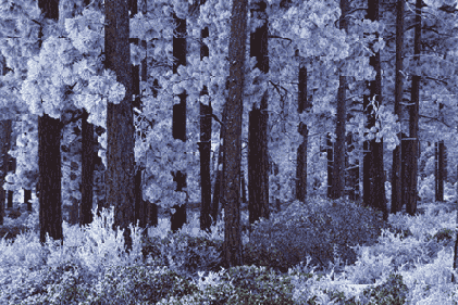 ������������� ����������� Background Eraser