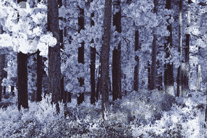 ������������� ����������� Background Eraser