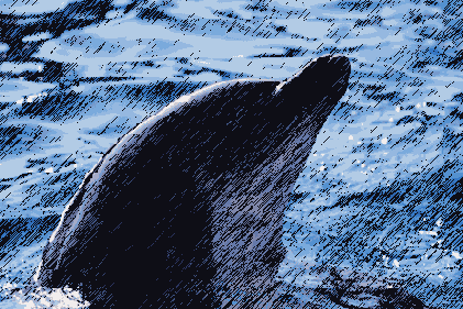 ������������� ����������� History Brush