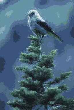 ������������� ����������� History Brush