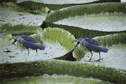 ������������� ����������� Measure