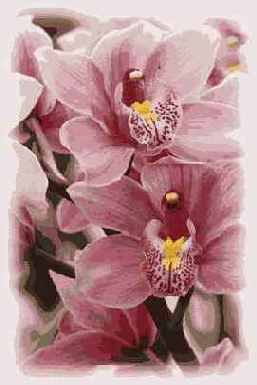 ������������� ����������� Patch Tool