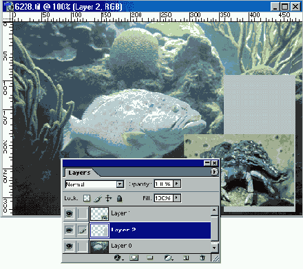 �� ��������� Photoshop � LiveMotion