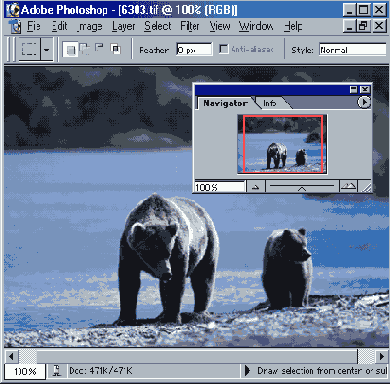 ��������� �������� ��������� � ������� ������� Navigator