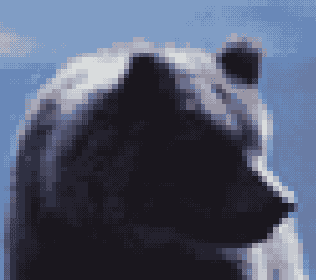 ��������� �������� ��������� � ������� ������� Navigator