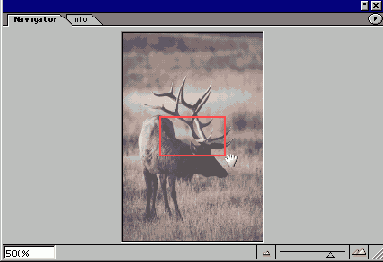 ��������� �������� ���������