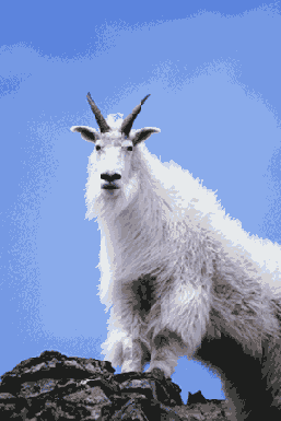 ��������� �������������� ����