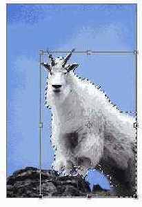 ��������� ����� ���������