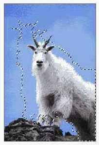 ��������� ����� ���������