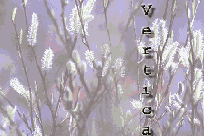 ��������� ������������ ������