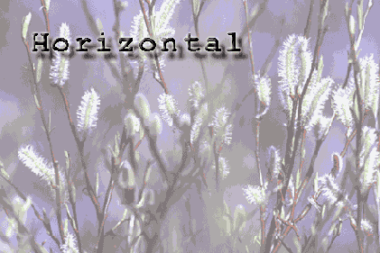 ��������� ������������ ������