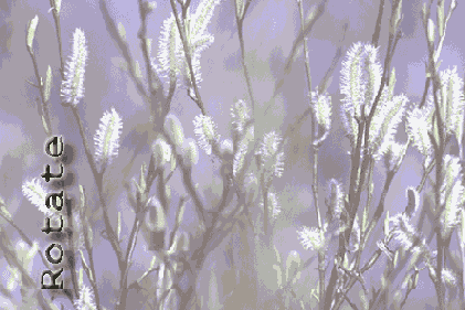 ��������� ������������ ������