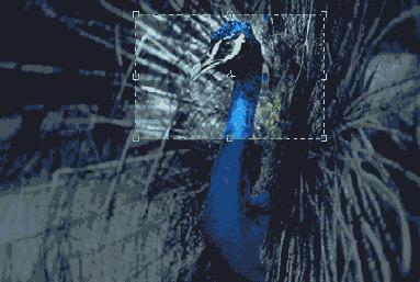 ��������� ������� ������