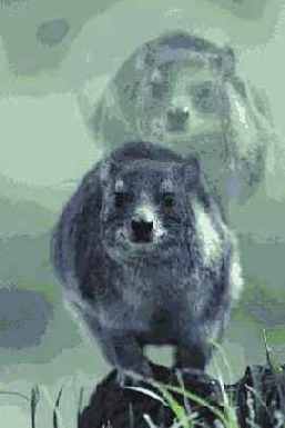 ������������ �������� � ����� �����������