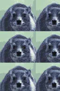 ������������ �������� � ����� �����������