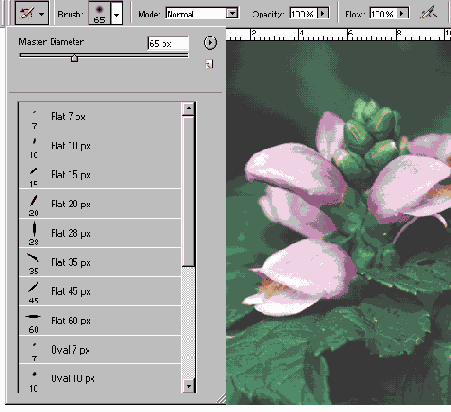 ������ �������� �����������