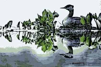 ����������� �������, � ������� ����������� ������