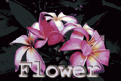 в программе Photoshop, то сохраните