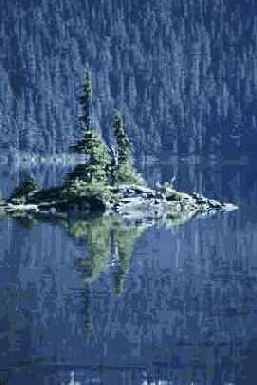 один из возможных форматов для