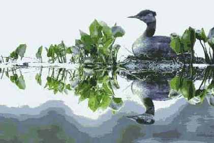 ���������� ������� �� �������