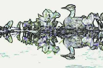 ���������� ������� �� �������