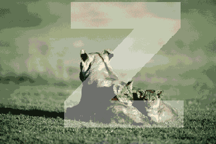 ����������� ������ ������ ���� � ��������