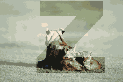 ����������� ������ ������ ���� � ��������