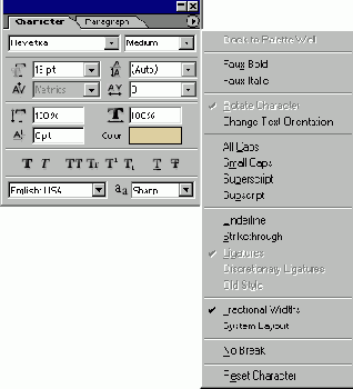 ������� Paragraph