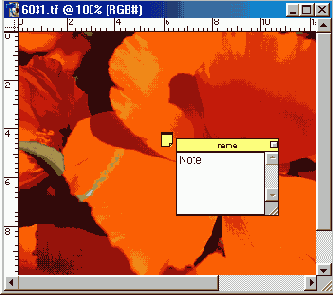 ������ ������������