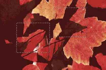 ����������� � ����������� ���������� �������