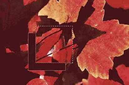 ����������� � ����������� ���������� �������