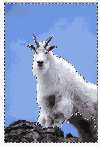 ����������� ����� ���������