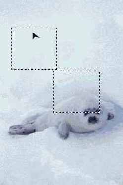 ����������� ����� ���������