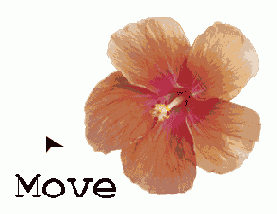 ����������� ����