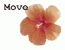 ����������� ����