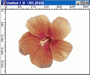 �������������� ���� � ������ �����������