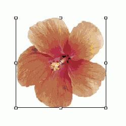 �������������� ���� � ������ �����������