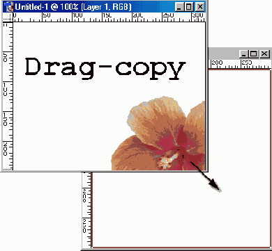 �������������� ���� � ������ �����������