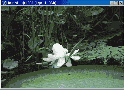 �������������� ���������� ������� ����� �������������