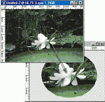 �������������� ���������� ������� ����� �������������