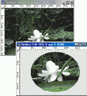 �������������� ���������� ������� ����� �������������