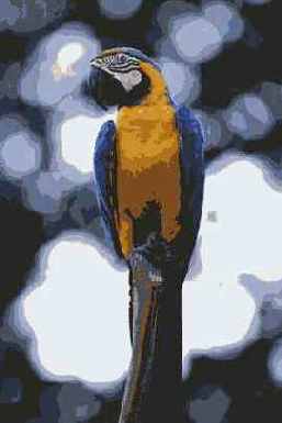 ��������������� �����������